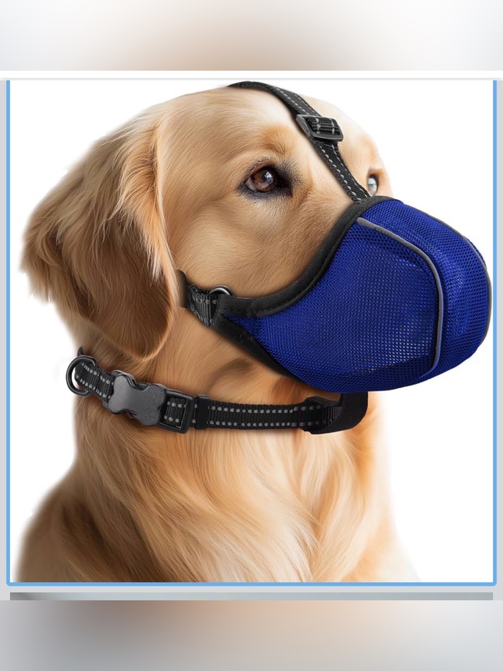 Adjustable Blue Dog Muzzle with Padded Comfort Straps